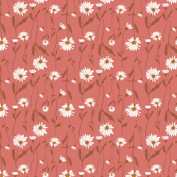 Wild Daisies in Rosa