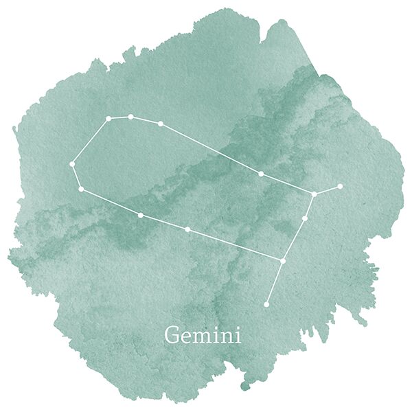 Gemini Sign Panel in Aspen