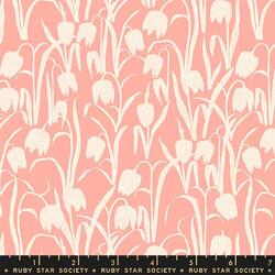 Fritillaria in Pink
