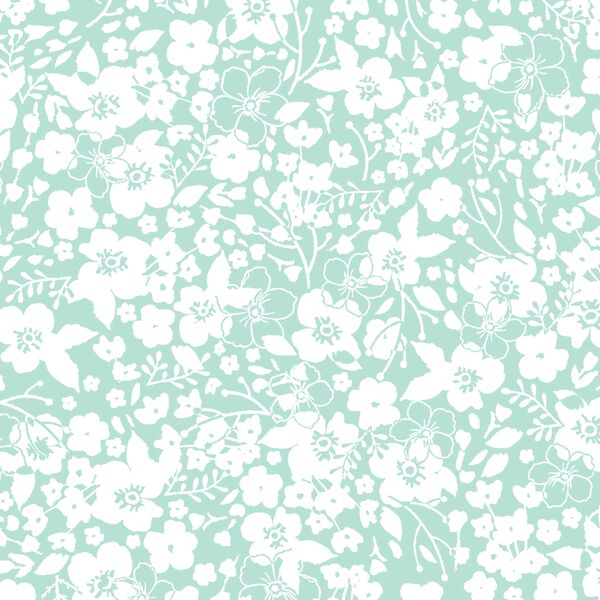 Forget Me Not in Aloe