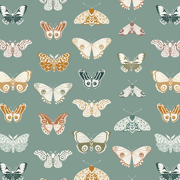 Butterflies in Thyme