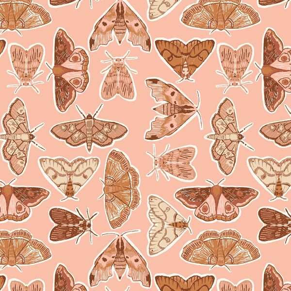 Moth to a Flame in Blossom