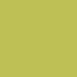 Solid in Lime Green