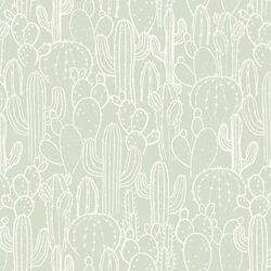 Cactus Patch in Cloud