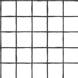 Windowpane in Onyx on White