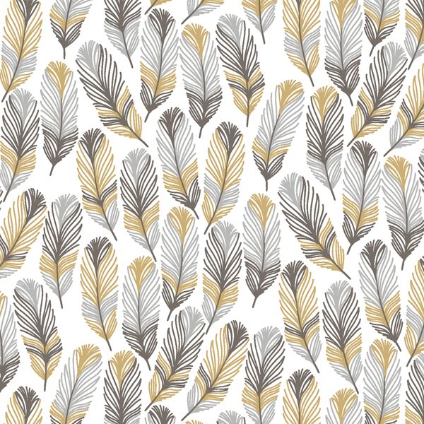 Feathers in Golden Canyon
