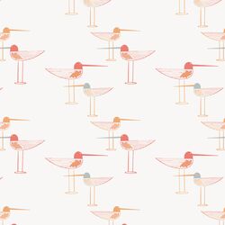 Stilted Sandpiper in Sunkissed
