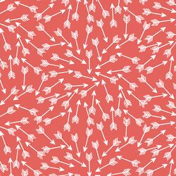 Arrows in Salmon