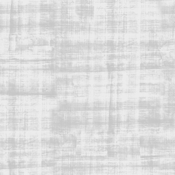 Texture in Light Gray