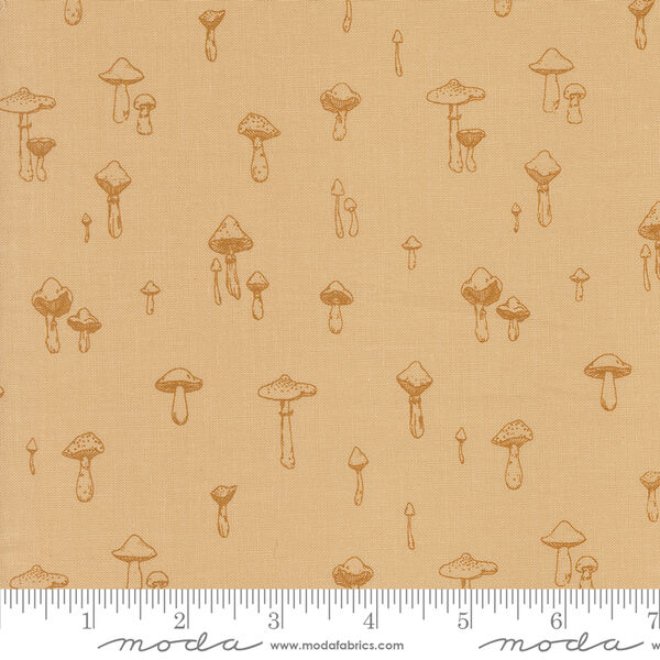 Mushroom Mirage in Sand