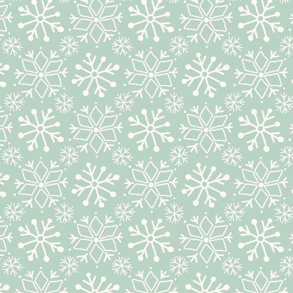 Snowflakes in Frost