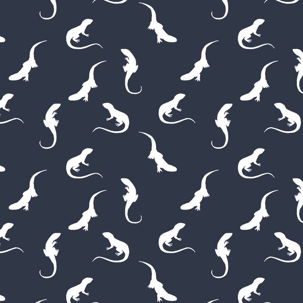 Iguana Silhouette in Eclipse