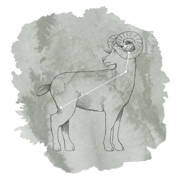 Aries Panel in Sage