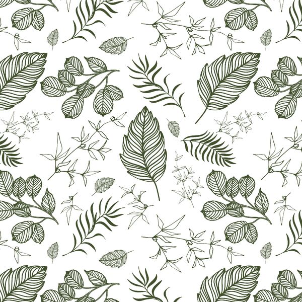 Foliage in Olive Green on White
