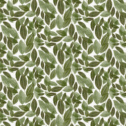 Leaves in Cedar Green