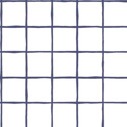 Windowpane in Indigo on White