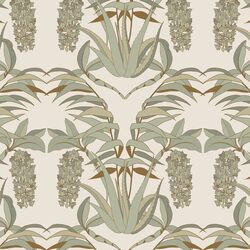 Acacias in Cream