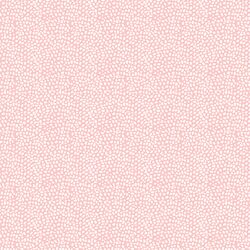 Texture in Seashell