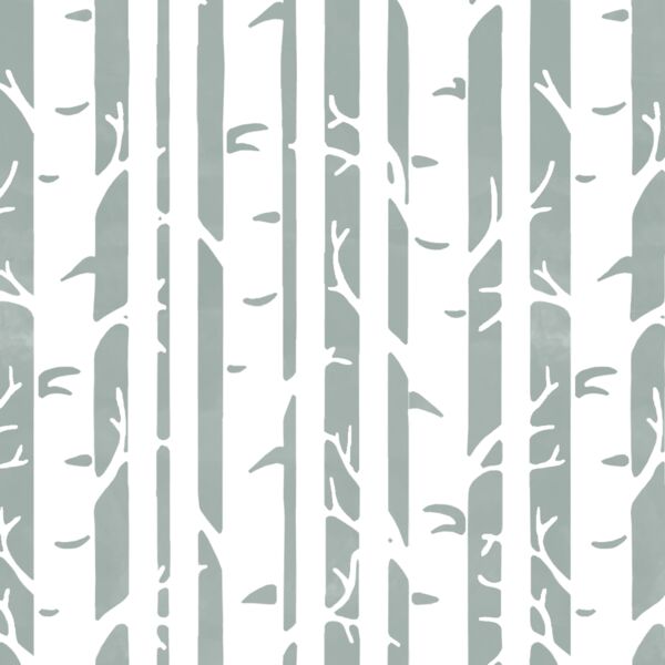 Birches in Eucalyptus