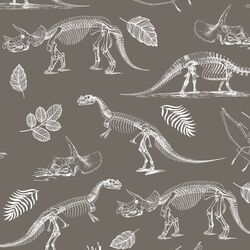 Fossils in Stone