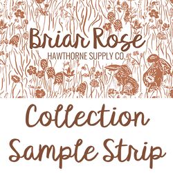 Briar Rose Sample Strip