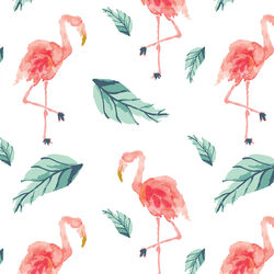Flamingo Palm in Tropical
