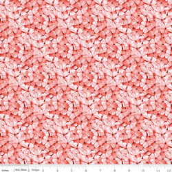 Phlox Petals in Pink