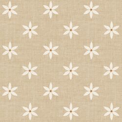 Star Flowers in Tan