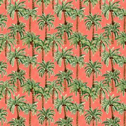 Little Palm Paradise in Punch
