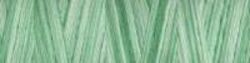 Mint Julep - Variegated