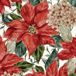 Large Poinsettia Bloom in Ivory