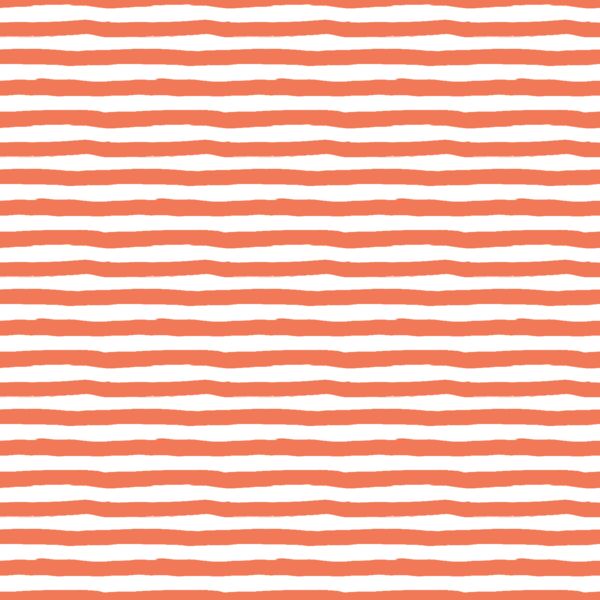 Stripes in Tiger Lily
