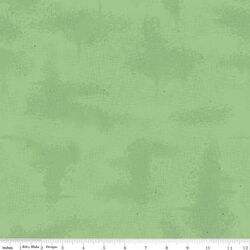Shabby in Green
