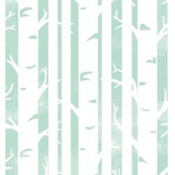 Big Birches in Mint