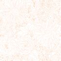 Paperie in Tangerine on White