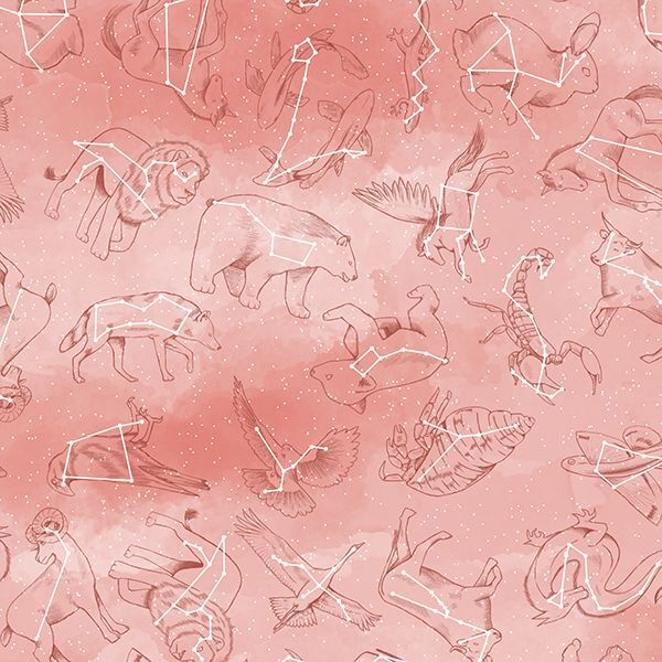 Constellations in Tulip