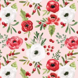 Winter Roses in Pink