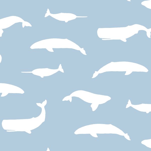 Whale Silhouette in Sky