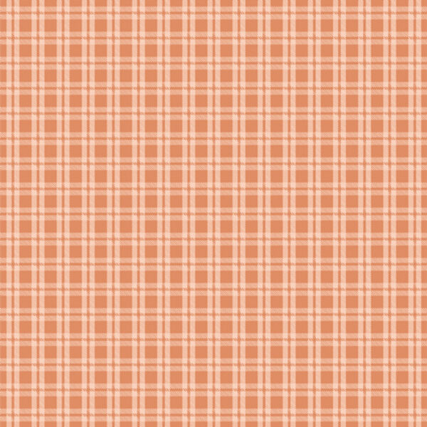 Cozy Gingham in Birch