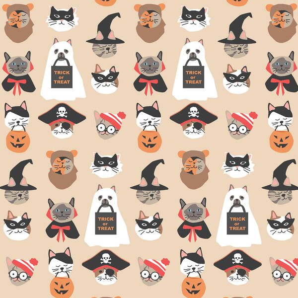 Halloween Cats in Marzipan