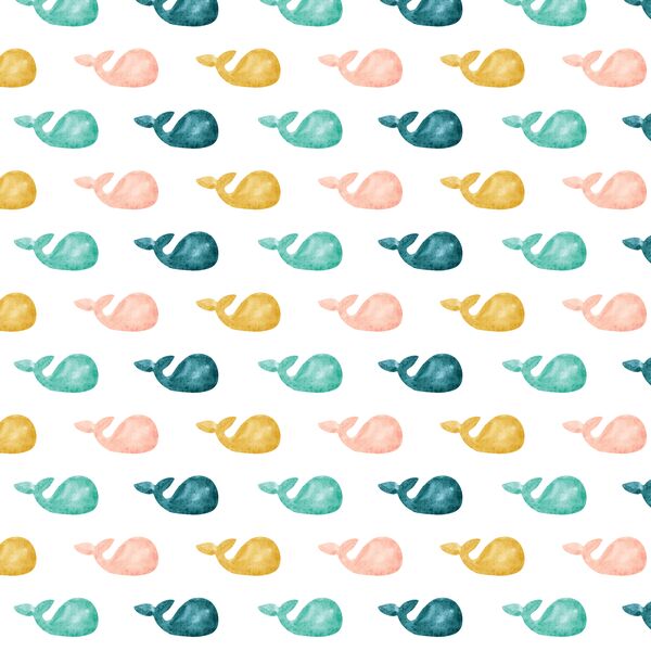 Whale Tales in Summer