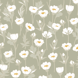 Field of Buttercups in Sage