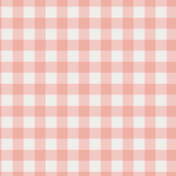 Gingham in Spring Pink