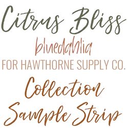 Citrus Bliss Sample Strip