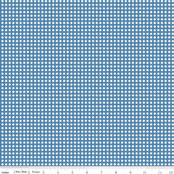Basketweave in Blue