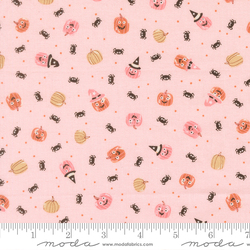 Friendly Pumpkin and Spiders in Pink