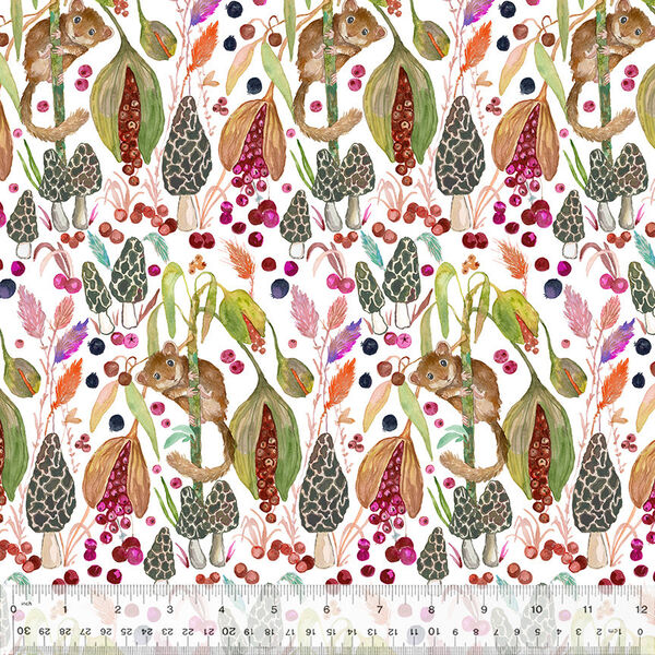 Little Dormouse in White