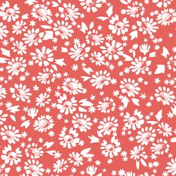 Daisies in Salmon