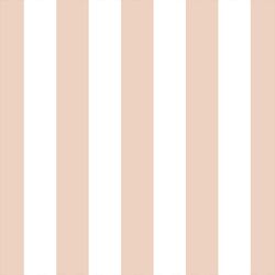 Play Stripe in Shell