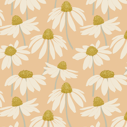 Coneflower in Summer Peach